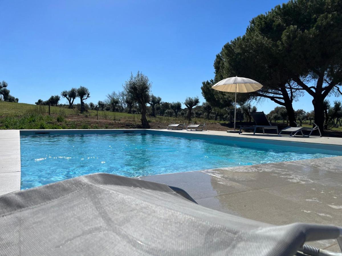 Monte Casa Branca - Housity