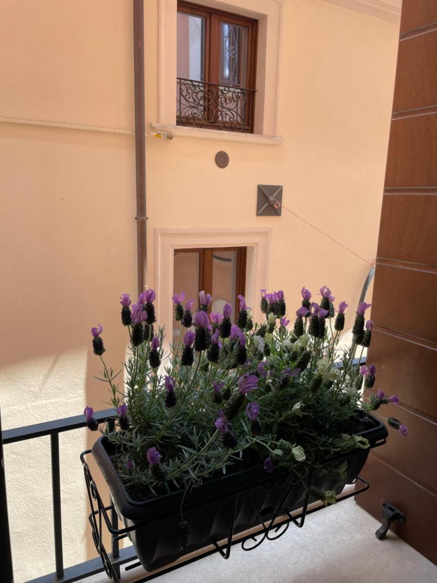 B & B Piazza Angioina - Housity