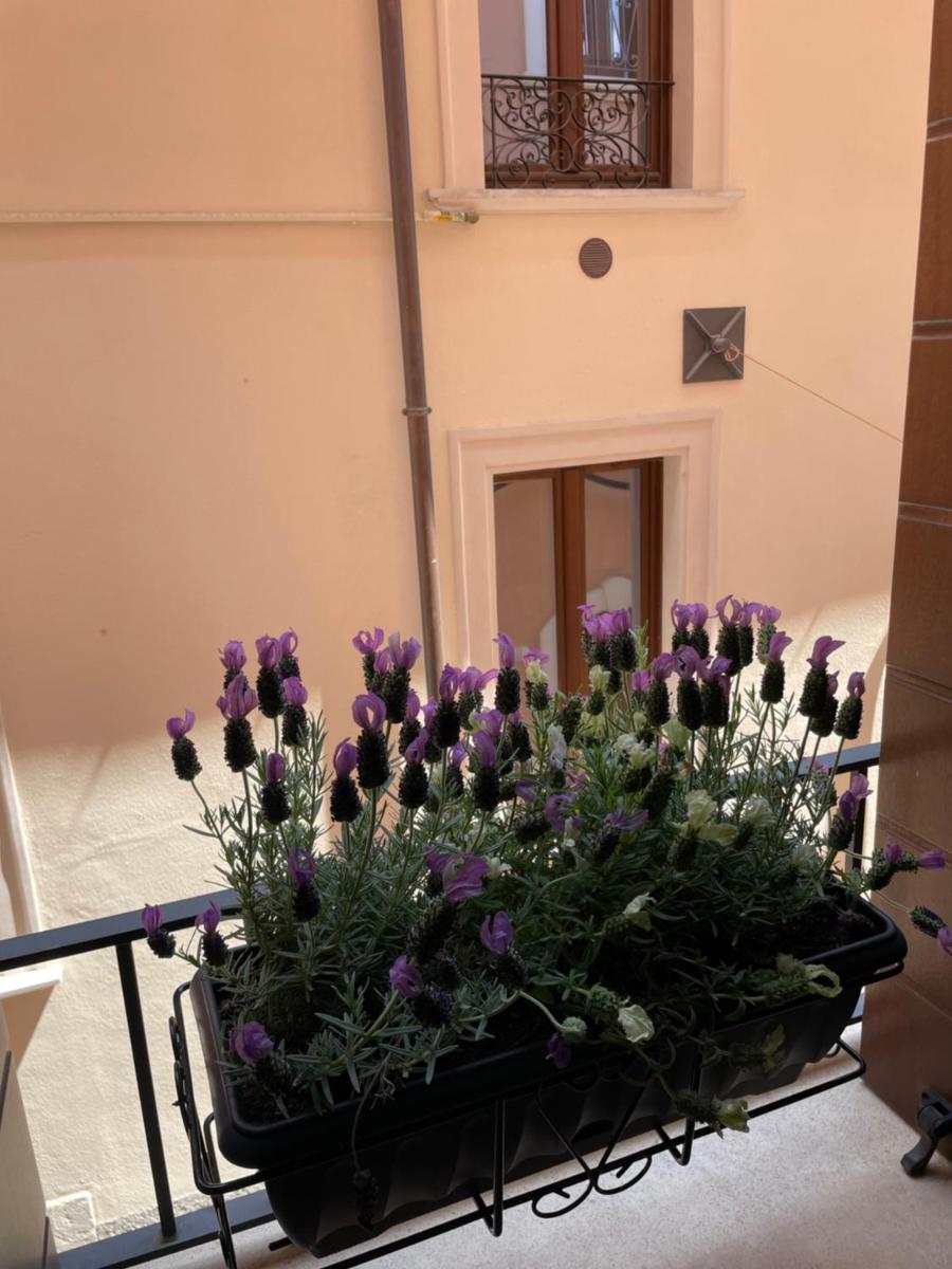 B & B Piazza Angioina - Housity