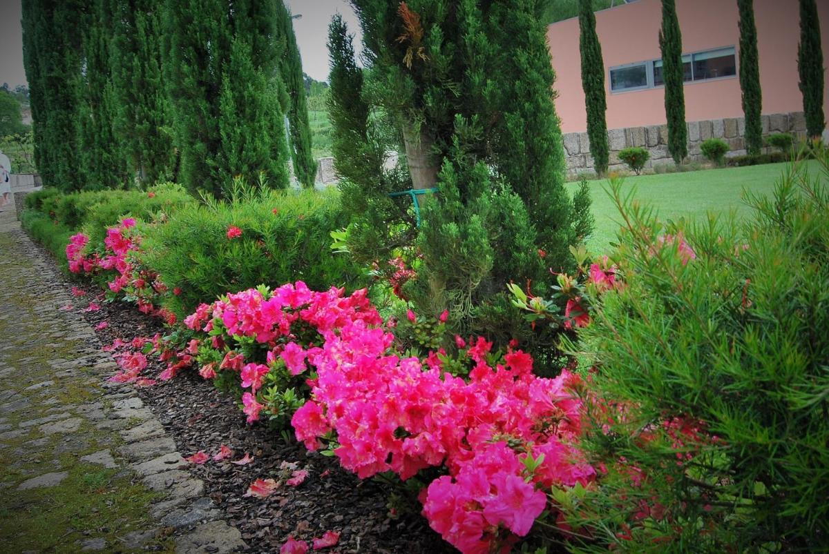 Um jardim no exterior de Hotel Quinta da Cruz & SPA