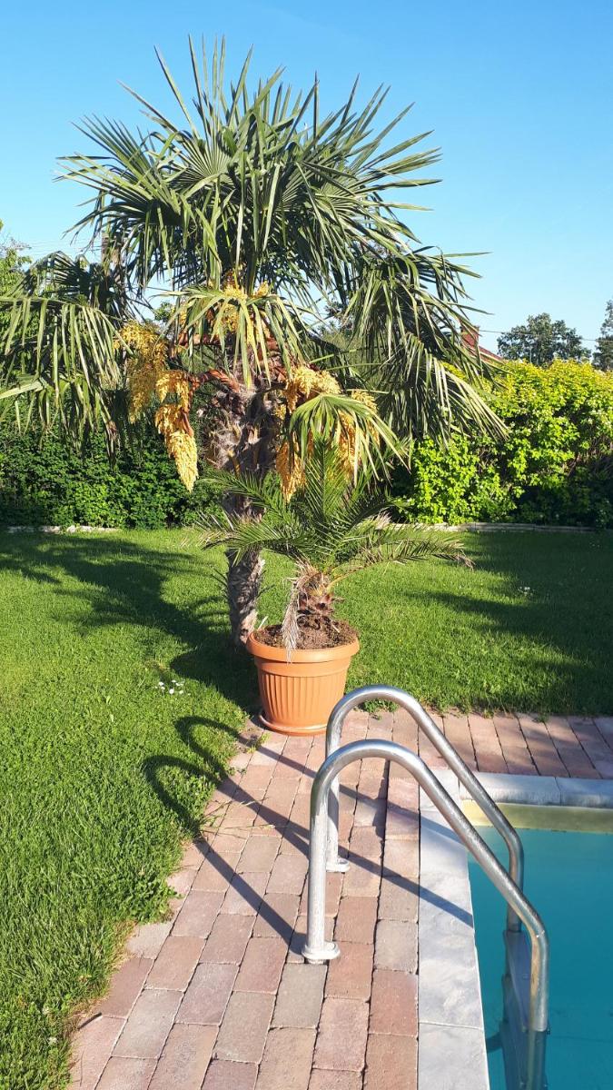 Fülöp Villa Apartmanház - Housity