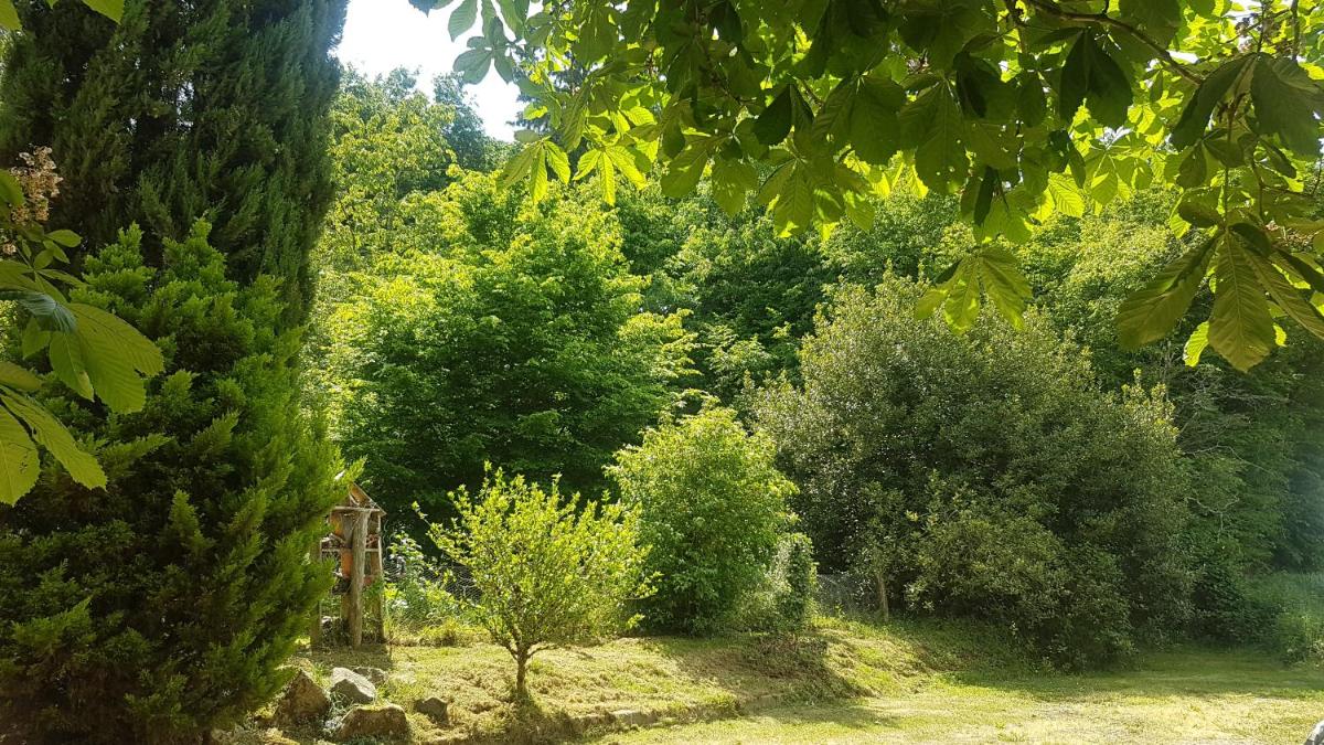 La Grande Molière - Housity