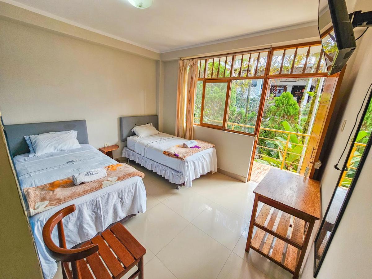 Eco Hostal La Cueva - Moyobamba - Housity