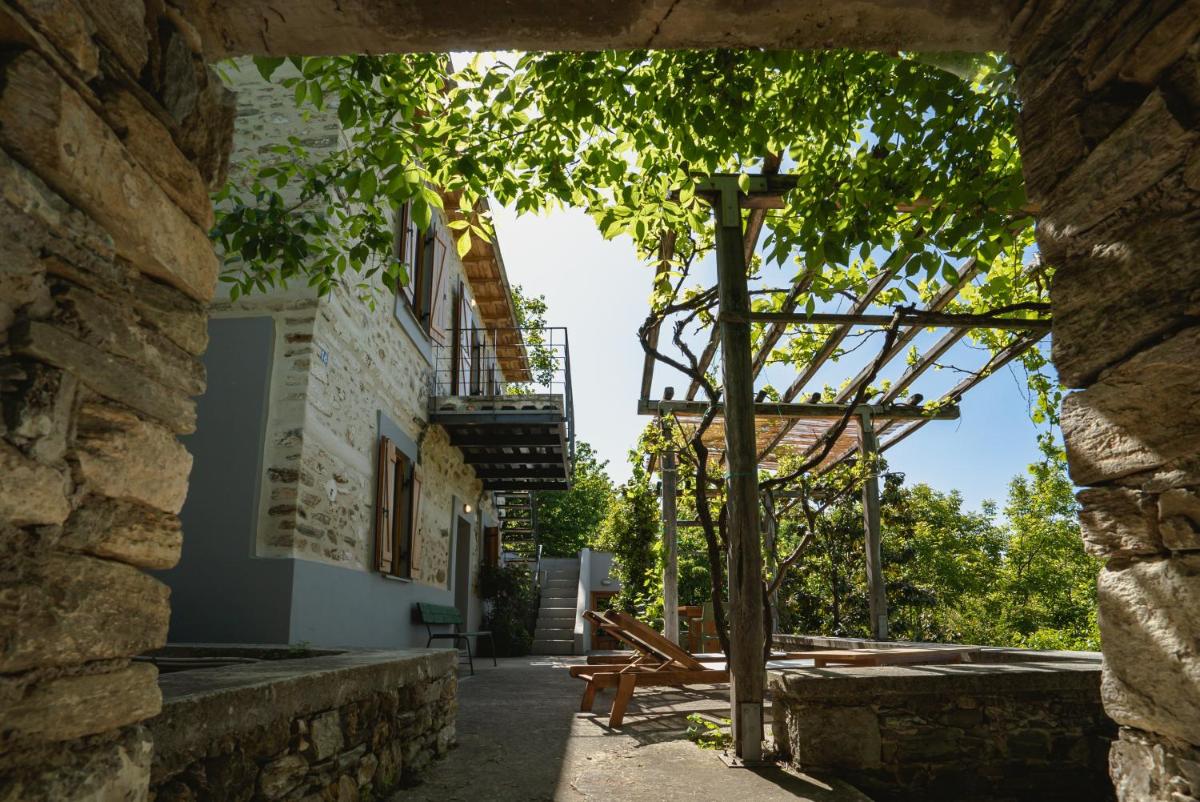 House Gecko - Mount Pelion - Housity