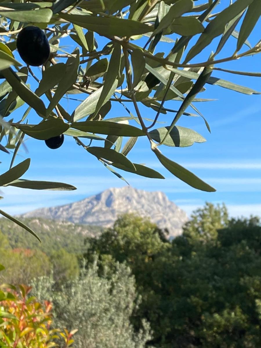 Vue générale sur la montagne ou vue sur la montagne depuis l'hôtel