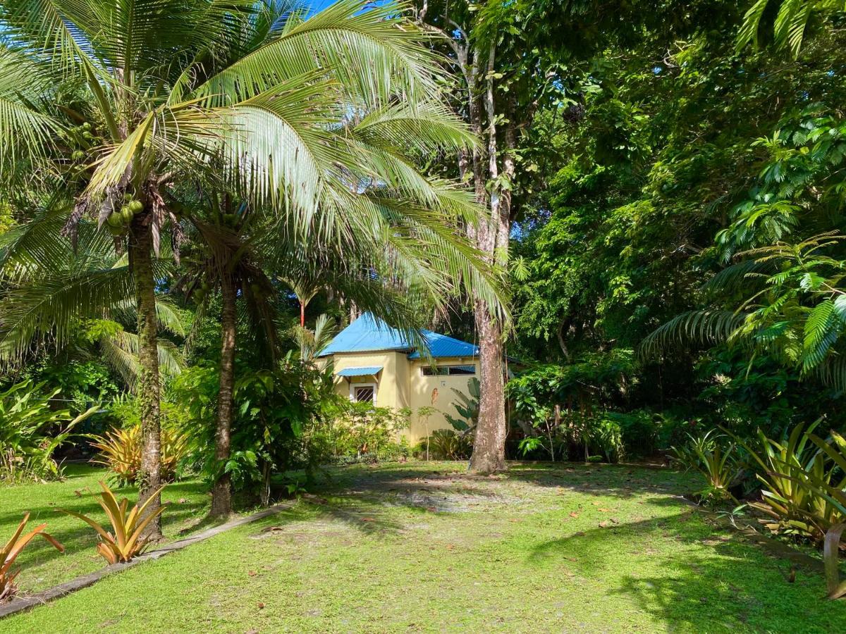 Private Villa on 2-Acres of Jungle Garden & Pool - Housity