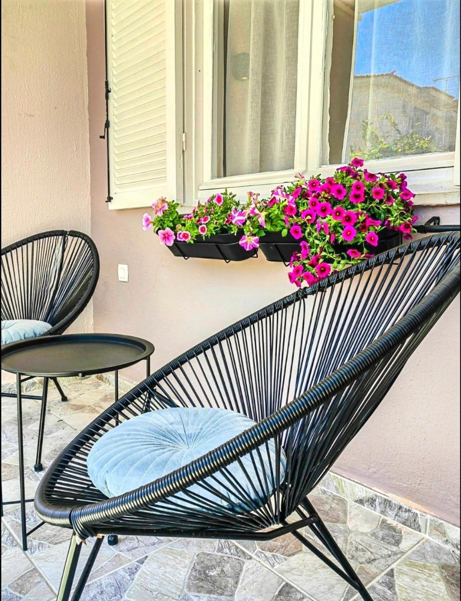 Mimosa House - Housity