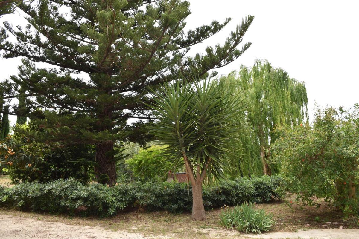 Casa Vacanze Adele - Housity