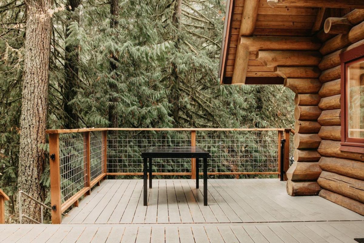 81SL - Hot Tub - WiFi - Pets Ok cabin - Housity