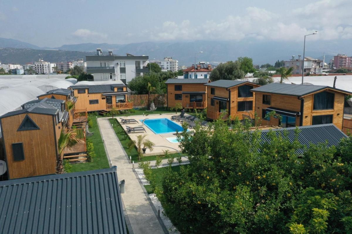 Hotel Palm House - Housity