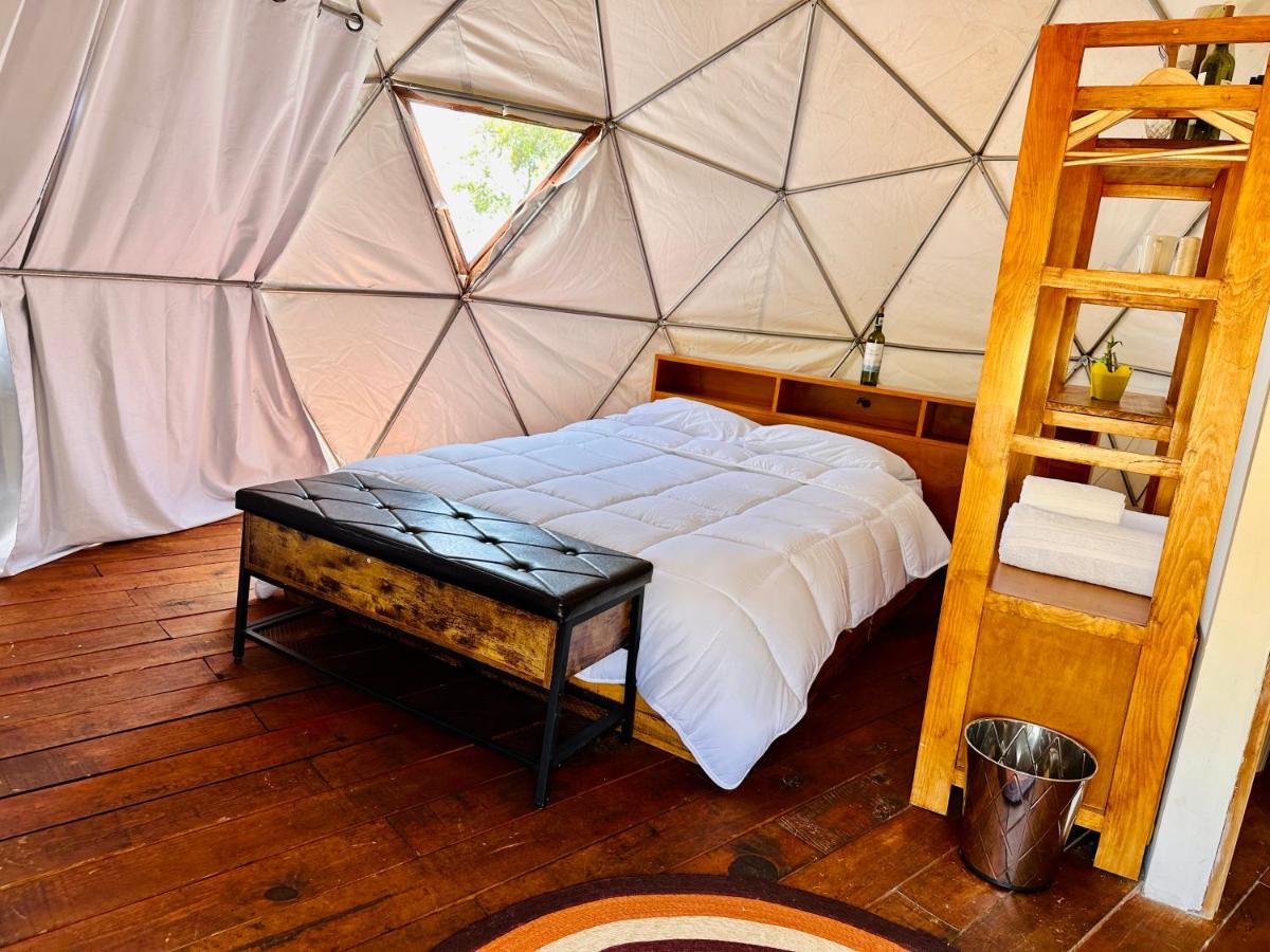 Glamping Xochitepec - Housity