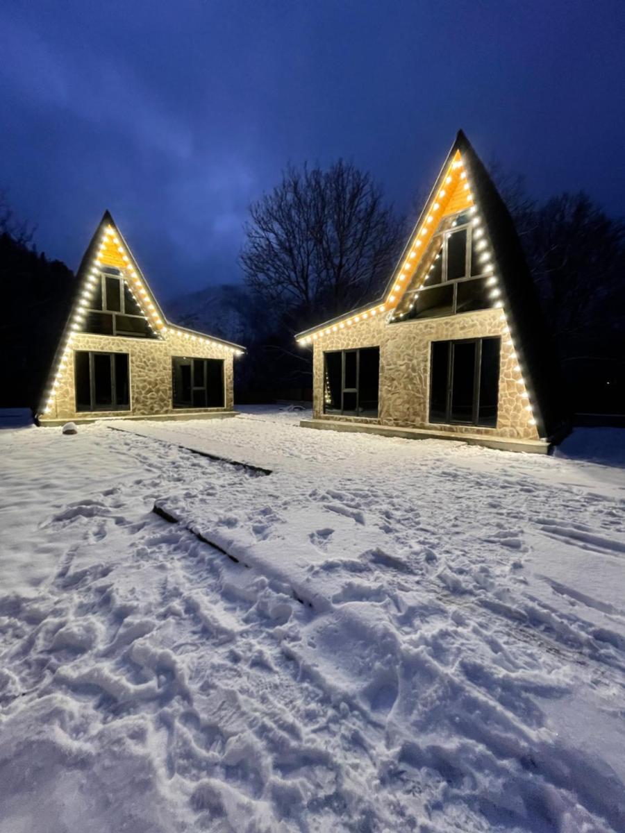 Cottage Orcs - Housity