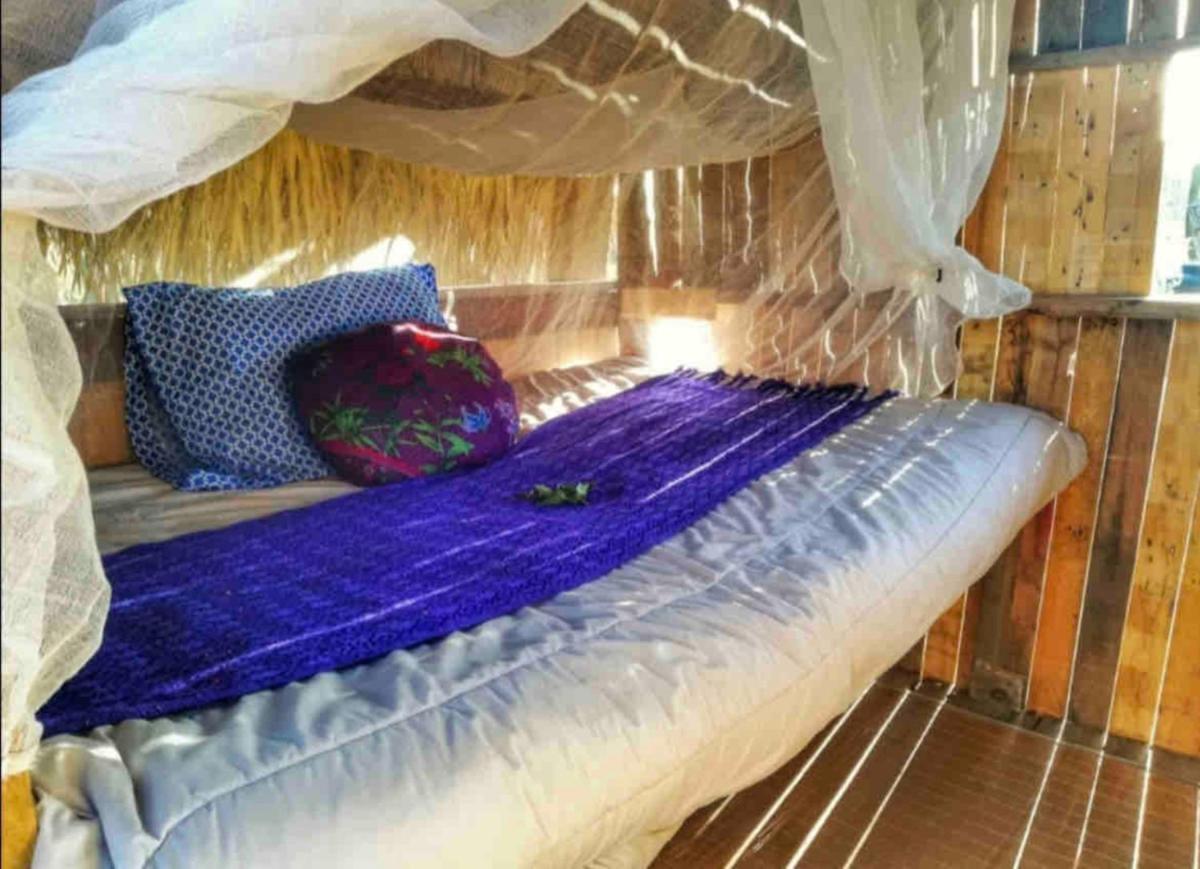 Tree House at Espacio Amor - Housity