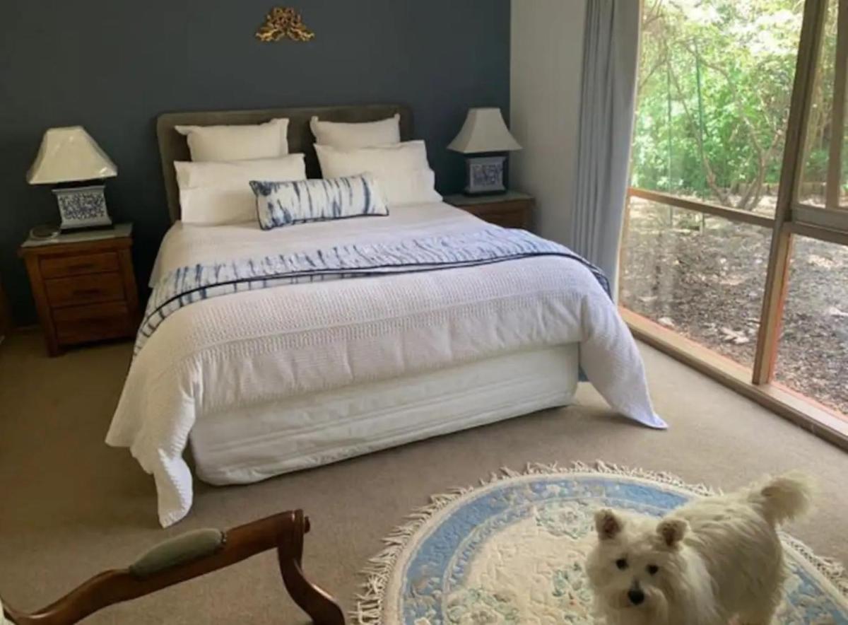 Hobreid House country stay with a beautiful garden - pets welcome - Housity