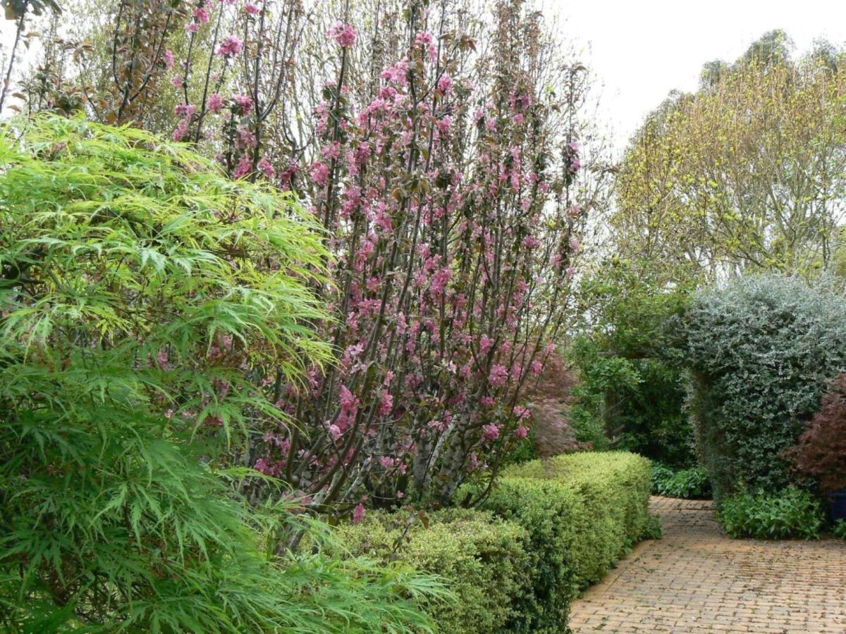 Hobreid House country stay with a beautiful garden - pets welcome - Housity