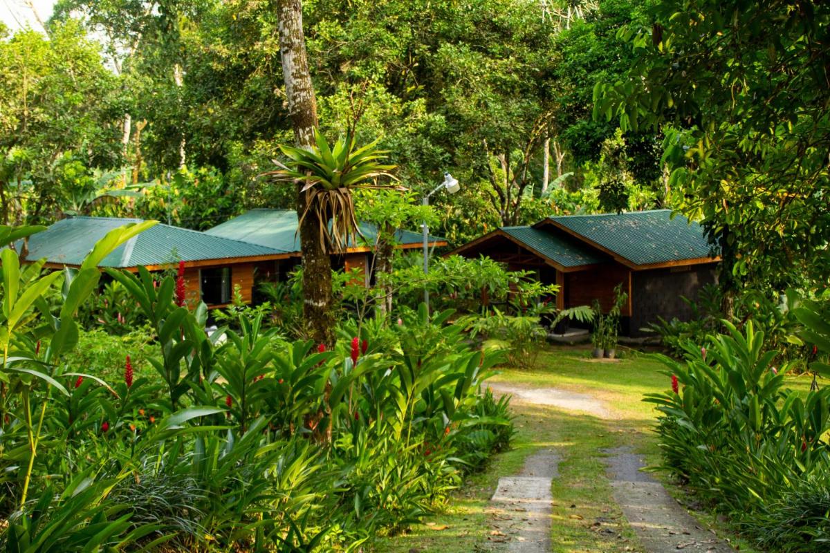 Eden Organic Farm & Bungalows - Housity