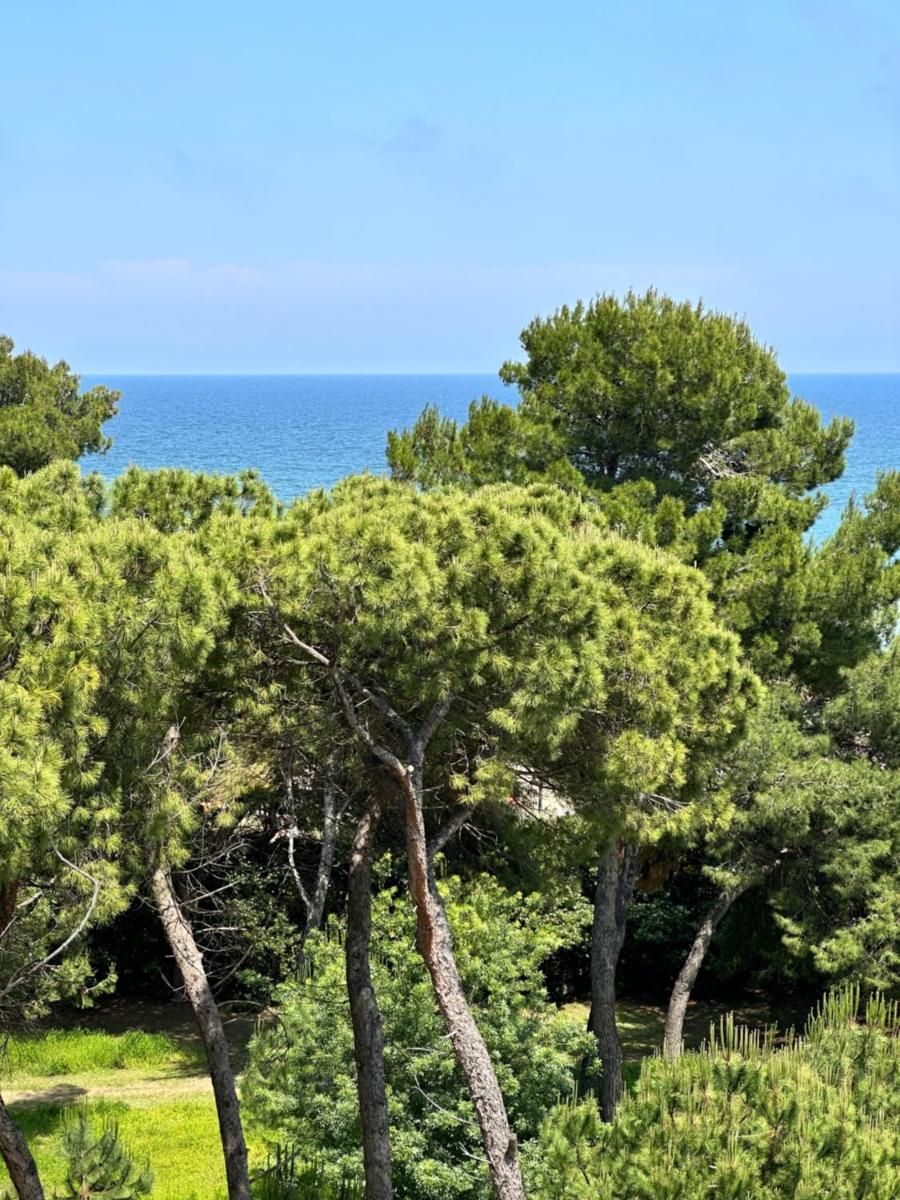 Lortica apartment - Housity