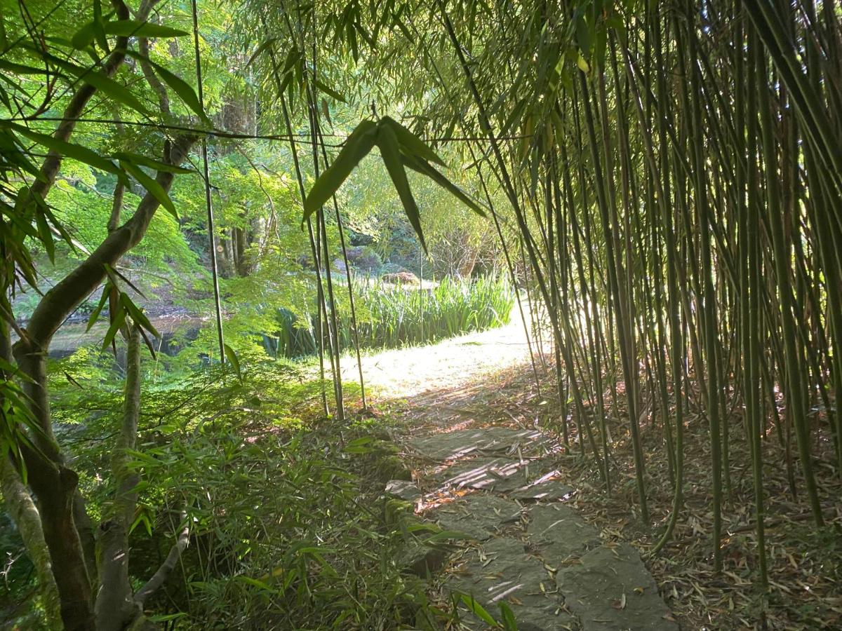 Jardin de l'établissement Les Moulins Du Duc ÉCOLODGE