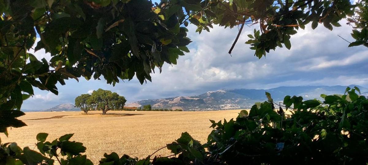 Suitetrails - L'oasi della Pace