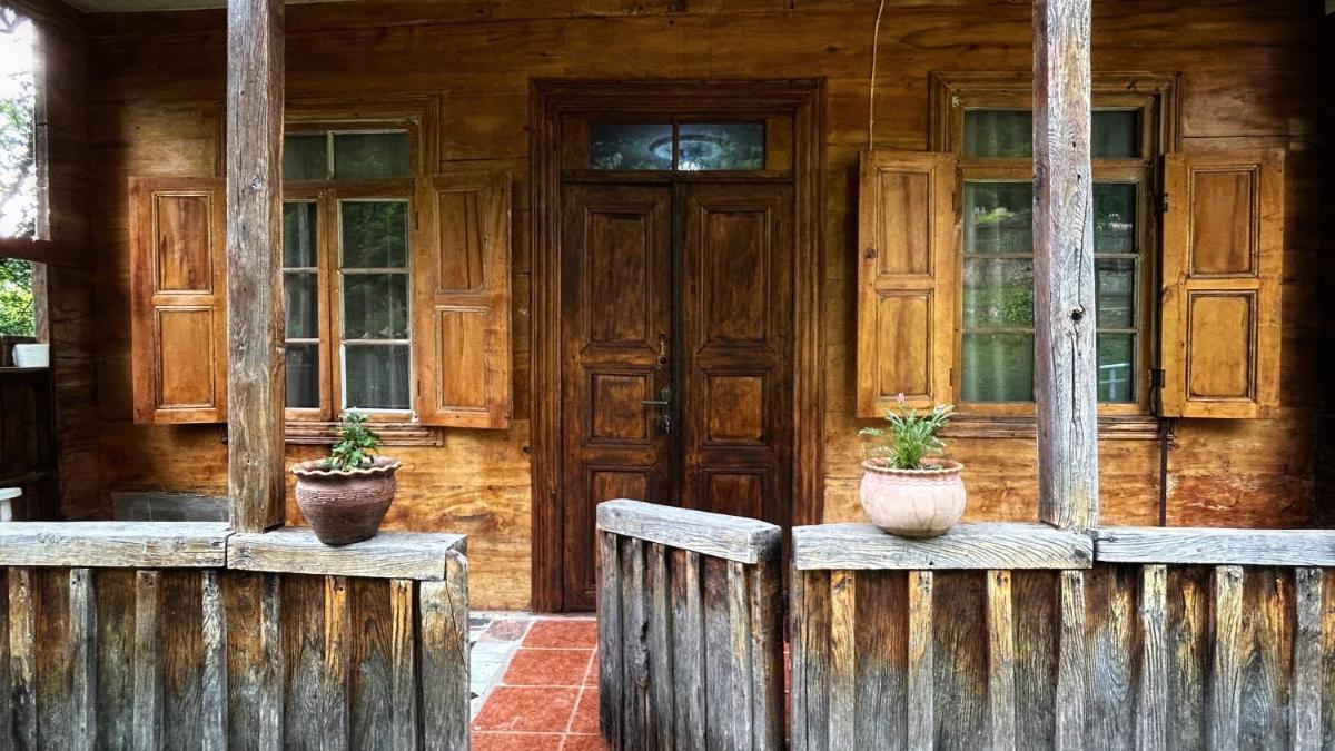 Green bunny guesthouse - Housity