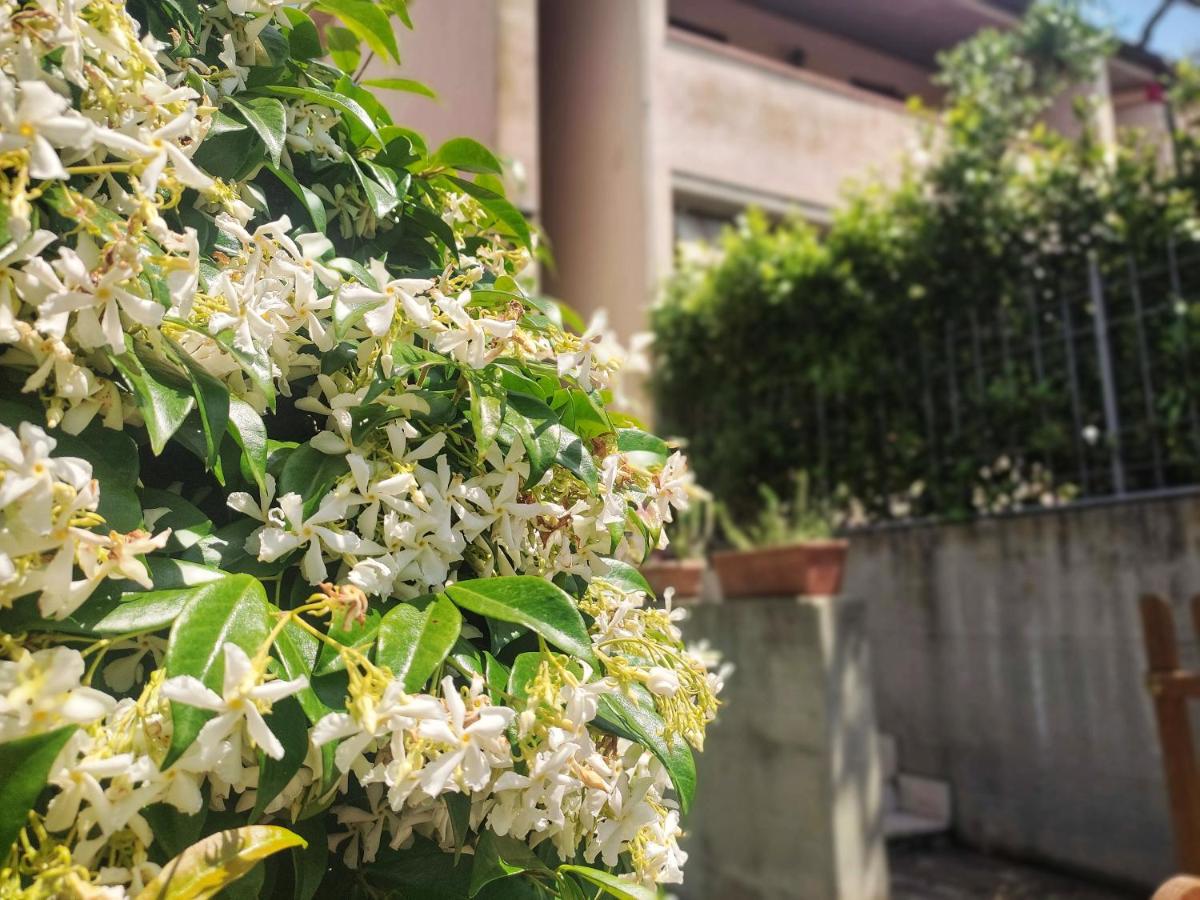 Morellino House - Appartamento nella tranquilla collina maremmana - Housity