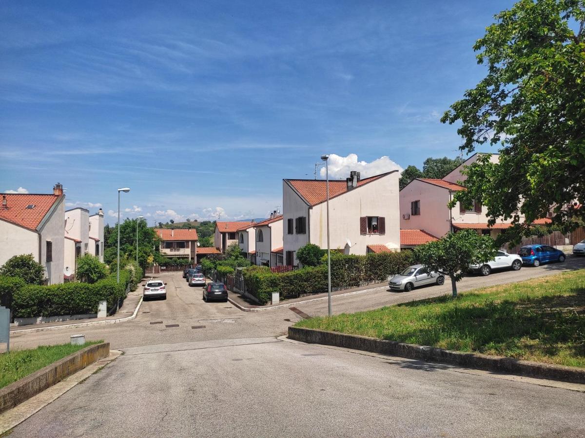 Morellino House - Appartamento nella tranquilla collina maremmana - Housity