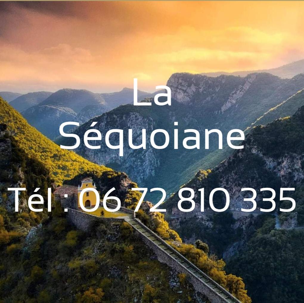 Chambre La Séquoiane Col de Turini - Housity