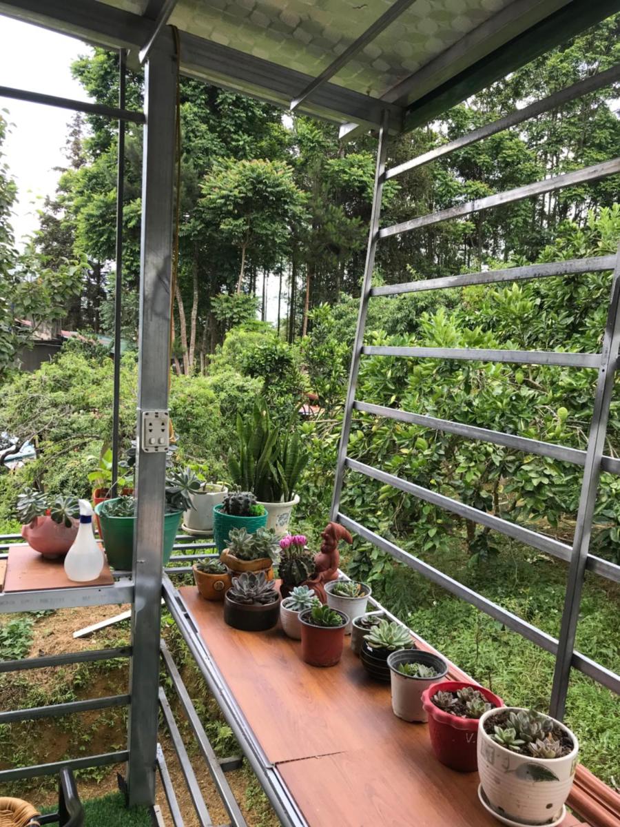 SIBLINGS HOME - Housity