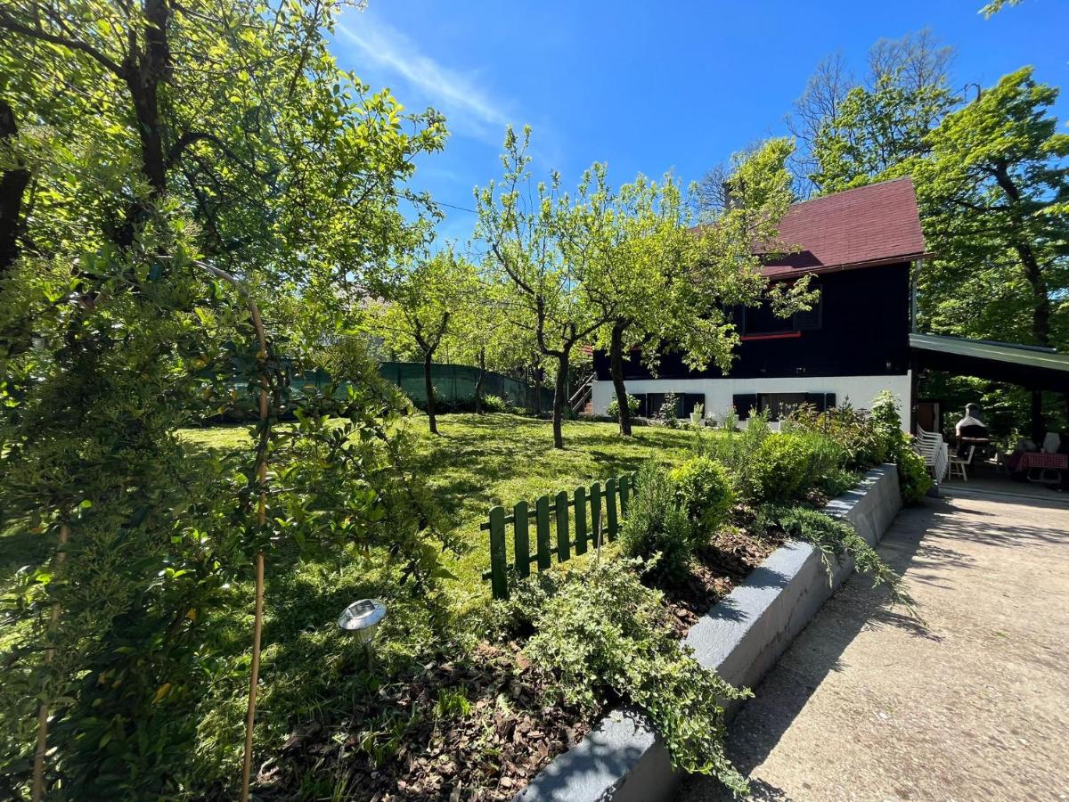 Cottage house in the forest near Zagreb - Housity