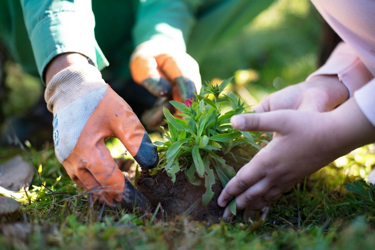 a group of people planting a plant in the grass at JW Marriott Mussoorie Walnut Grove Resort & Spa in Mussoorie