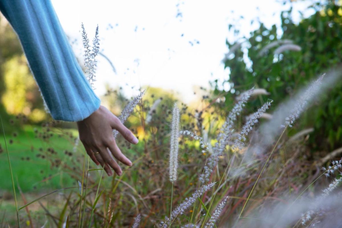 a person standing next to some tall grass at JW Marriott Mussoorie Walnut Grove Resort & Spa in Mussoorie