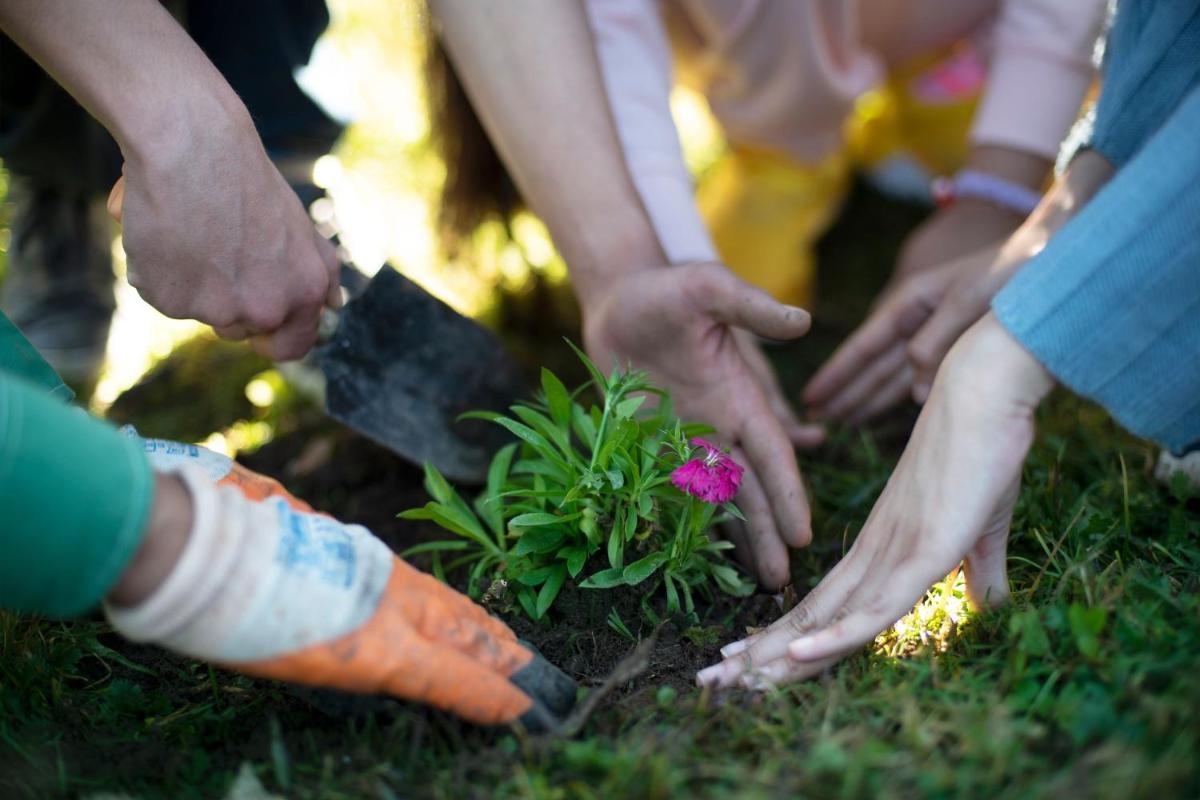 a group of people planting a plant in a garden at JW Marriott Mussoorie Walnut Grove Resort & Spa in Mussoorie
