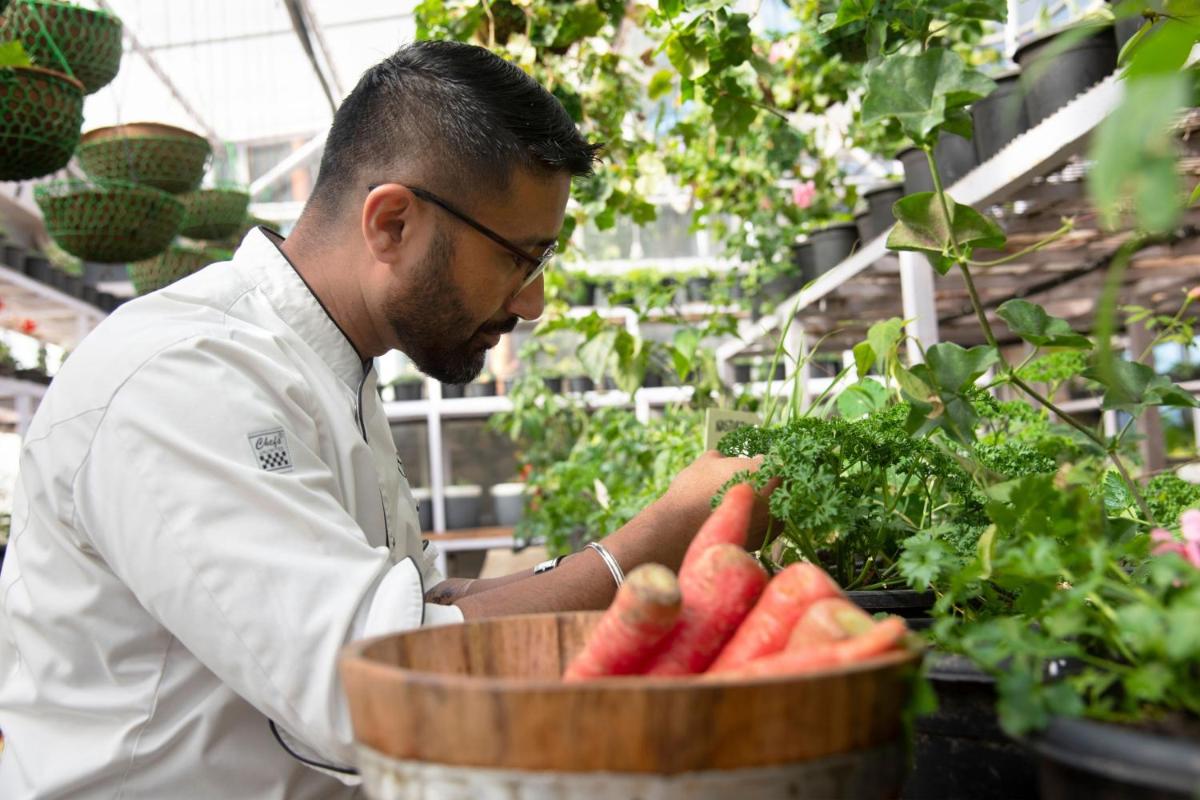 a chef in a greenhouse looking at a bunch of vegetables at JW Marriott Mussoorie Walnut Grove Resort & Spa in Mussoorie