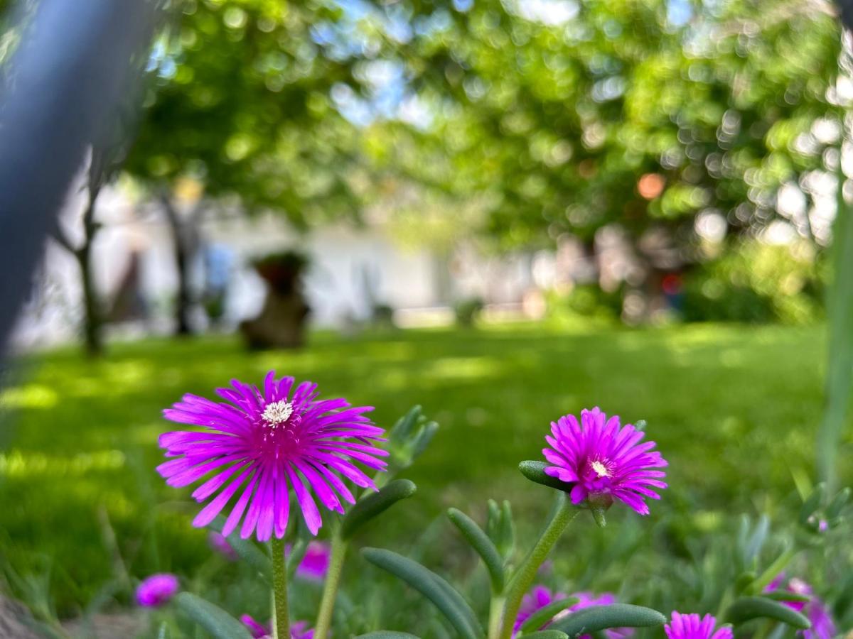 Apartment River - Housity