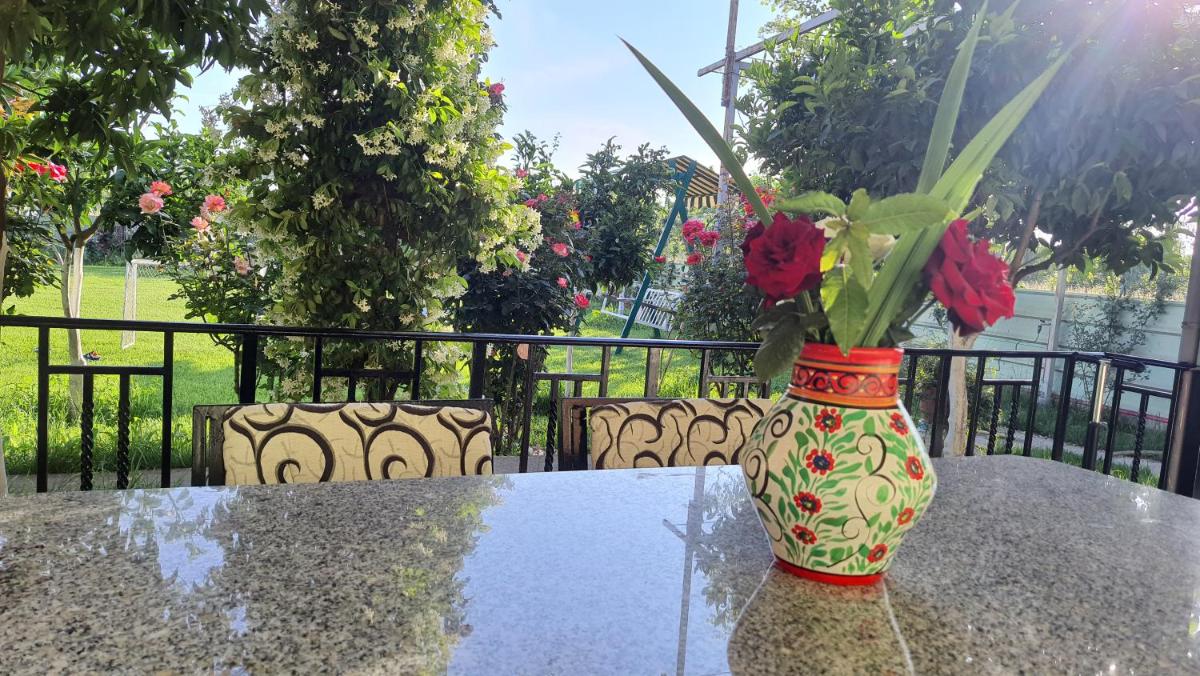 Room with private garden - Housity