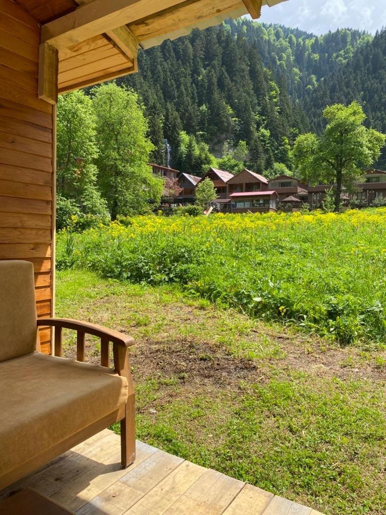tiny house - Housity