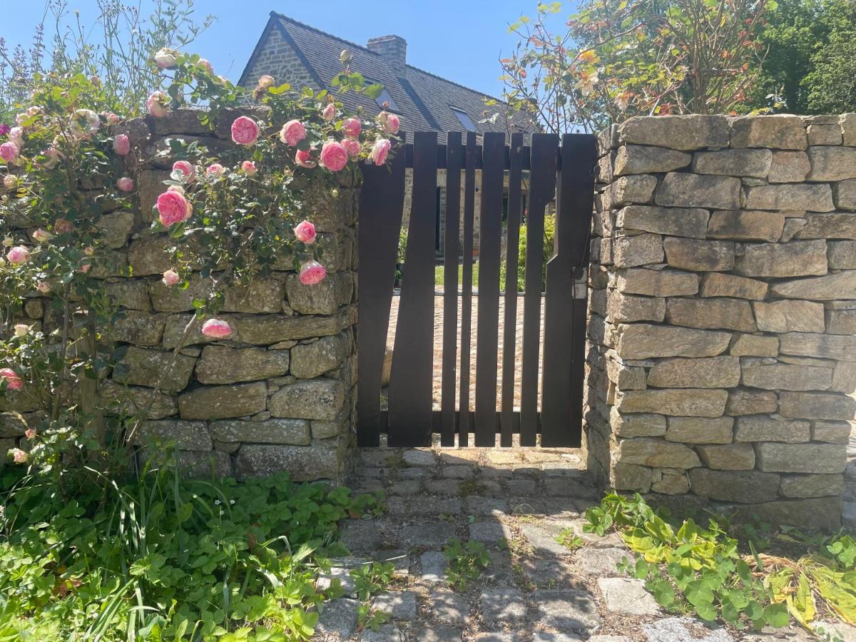 TY Fine Rose - Housity