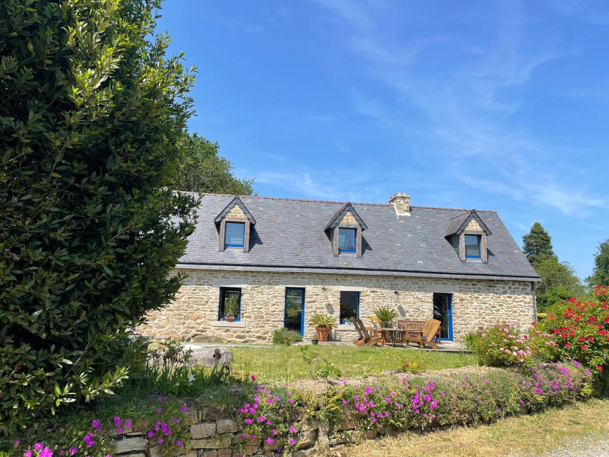 TY Fine Rose - Housity