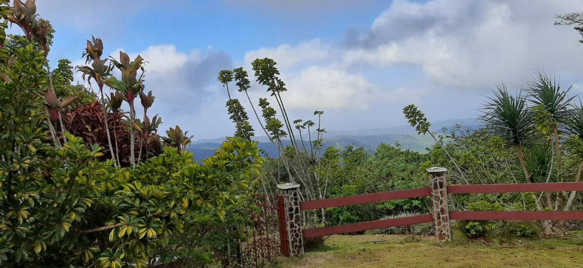 Villa La Vista of Panama City and magestical mountains from infinity pool - Housity