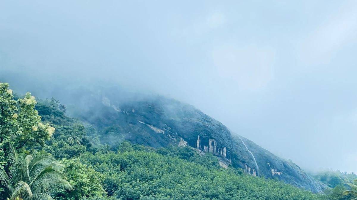 7s Castle Munnar Mountain View Homestay - Housity