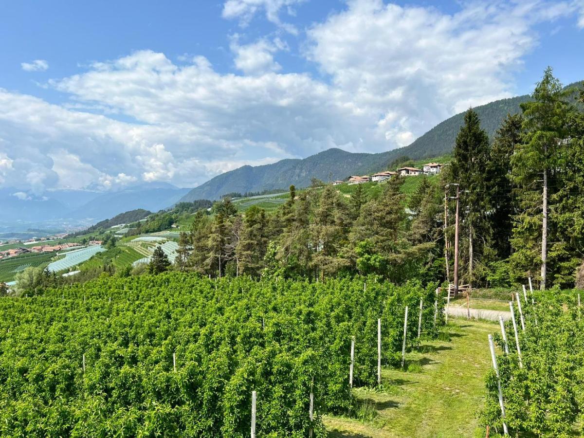 Agritur Maso Forcola - Housity