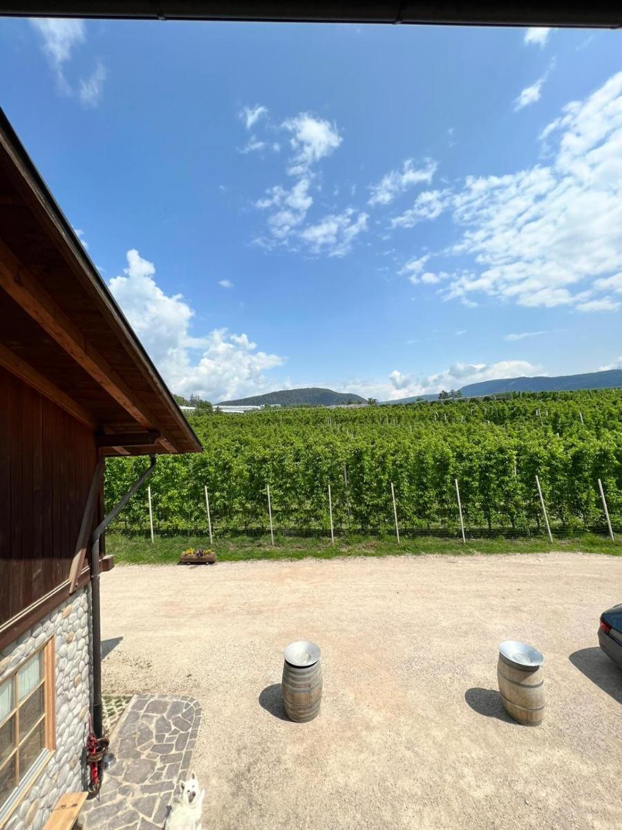 Agritur Maso Forcola - Housity