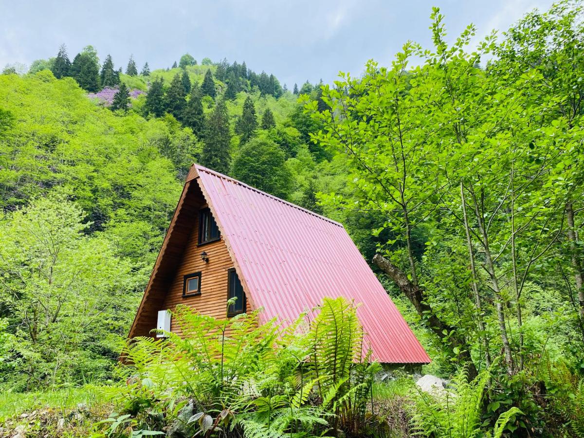 Mountain House - Bungalow - Housity