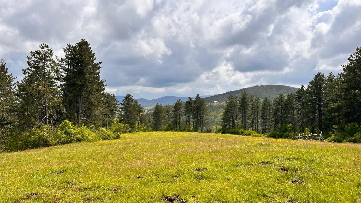 Emmy Apartman Zlatibor - Housity