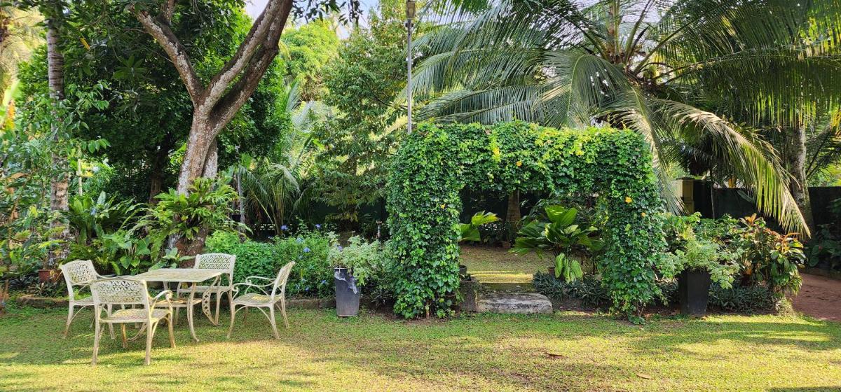 CHARAKAMA Guest Bungalow - GAMPAHA - Housity