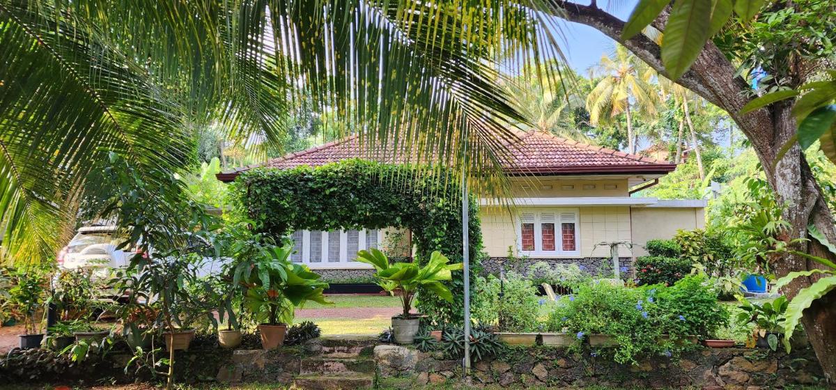 CHARAKAMA Guest Bungalow - GAMPAHA - Housity