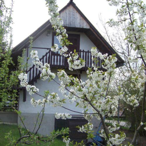 Nefelejcs Apartman - Housity