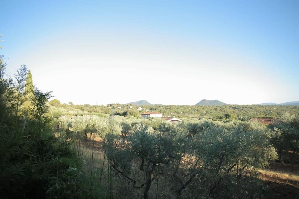 Le Jardin d'Eden - Housity