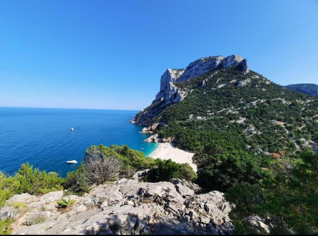 appartamento Oleandro - Housity