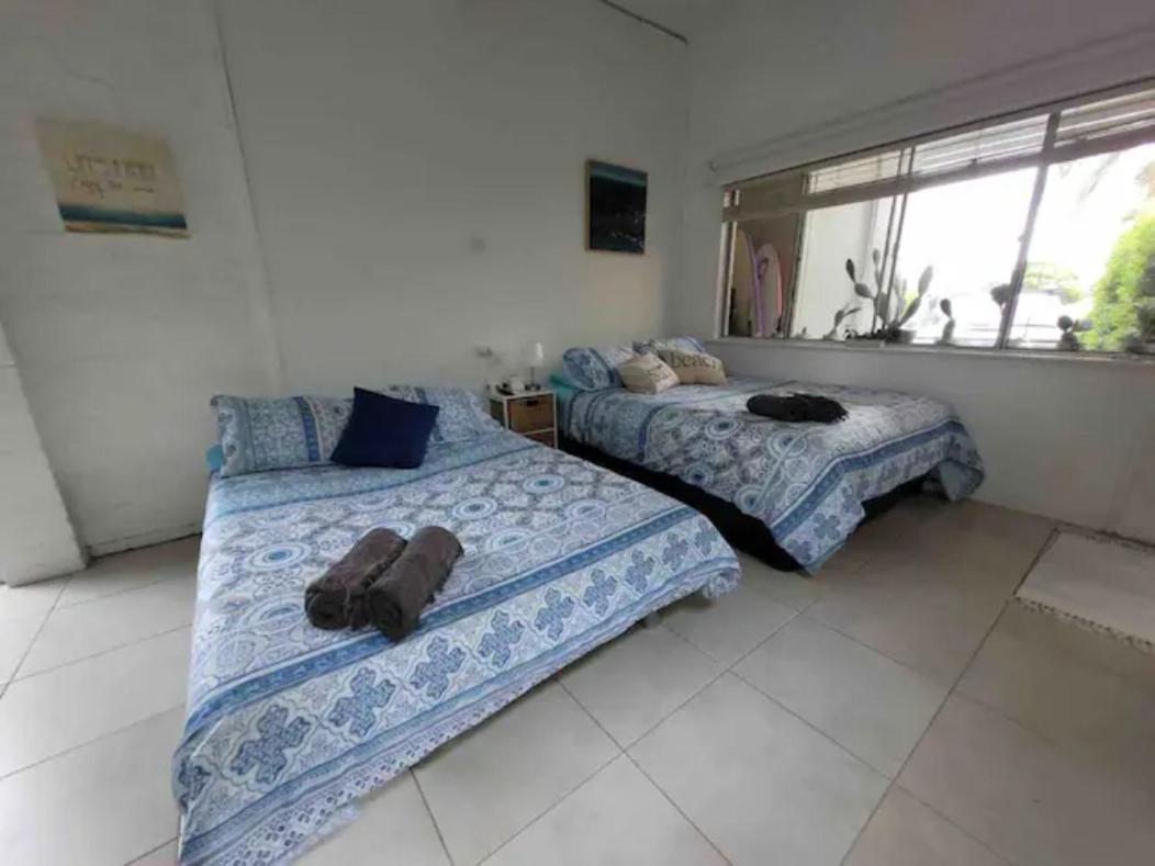 Suitetrails - Jones Beach Haven Studio - Kiama Downs Beachside Escape